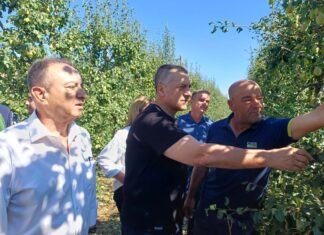 Τύρναβος: Πρωτοφανείς εικόνες καταστροφής μετά τη σφοδρή χαλαζόπτωση – Αυτοψία του ΕΛΓΑ / ΦΩΤΟ