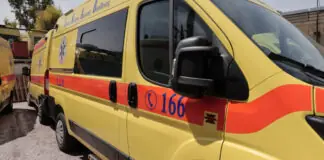 Σοκ στη Θεσσαλία: Αδέσποτο κατασπάραξε 6χρονο σε παιδική χαρά – Εσπευσμένη διακομιδή στην Αθήνα για χειρουργείο