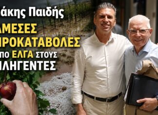 Σάκης Παιδής σε Πρόεδρο ΕΛΓΑ: Άμεσες προκαταβολές και κατάργηση του πλαφόν στις αποζημιώσεις για τους πληγέντες αγρότες του Ν. Λάρισας