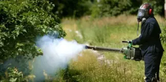 Λάρισα: Ξεκινούν οι δολωματικοί ψεκασμοί για την καταπολέμηση του δάκου της ελιάς