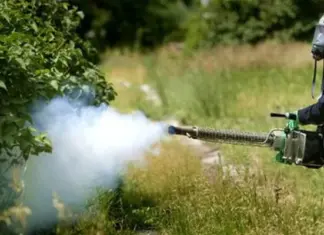 Λάρισα: Ξεκινούν οι δολωματικοί ψεκασμοί για την καταπολέμηση του δάκου της ελιάς