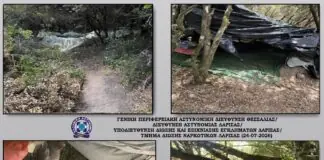 Αυτή είναι η μεγάλη χασισοφυτεία που αποκαλύφθηκε σε χωριό της Λάρισας – Φωτογραφίες της αστυνομίας από το σημείο