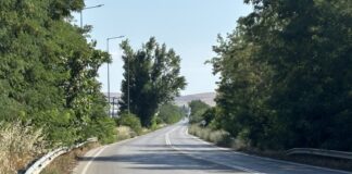 Δέντρο έχει πάρει επικίνδυνη κλίση στον δρόμο από Λάρισα προς Φάρσαλα
