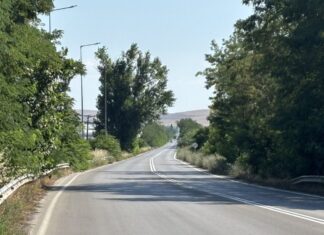 Δέντρο έχει πάρει επικίνδυνη κλίση στον δρόμο από Λάρισα προς Φάρσαλα