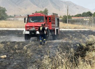 Άμεση επέμβαση απέτρεψε τα χειρότερα σε πυρκαγιά πλησίον του στρατοπέδου «Σχοινά» στον Τύρναβο – Εξετάζονται καταγγελίες για δύο ταυτόχρονες εστίες (φώτο)