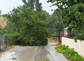 Σημαντικά ύψη βροχής στη Θεσσαλία – Χωριό της Λάρισας κατέγραψε από τα μεγαλύτερα ποσοστά / ΦΩΤΟ-ΒΙΝΤΕΟ