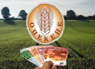Ένοχοι από το Εφετείο Πλημμελημάτων δύο βασικοί κατηγορούμενοι για την υπόθεση των παράνομων επιδοτήσεων