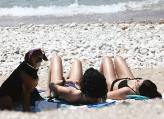 Κολυδάς – Μαρουσάκης προειδοποιούν: «Έρχεται “πολλή ζέστη” – Τι λένε για τον πιθανό καύσωνα