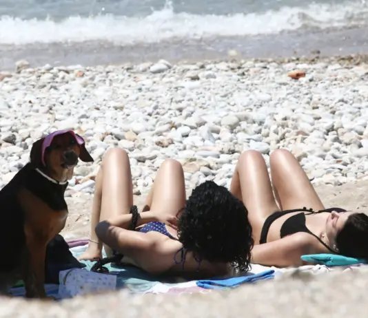 Κολυδάς – Μαρουσάκης προειδοποιούν: «Έρχεται “πολλή ζέστη” – Τι λένε για τον πιθανό καύσωνα