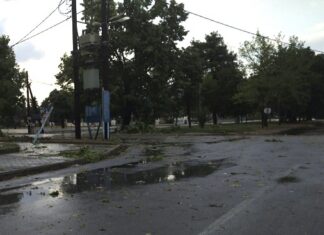 Καταστροφές με πτώσεις δέντρων σε χωριό της Λάρισας από το έντονο μπουρίνι – ΦΩΤΟ