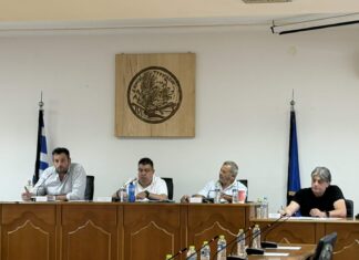 Στ. Τσικριτσής: Το 2025 αντιμετωπίσαμε προβλήματα των πολιτών και διεκδικήσαμε μεγάλα έργα