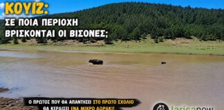 Αναγνωρίζεις την περιοχή; Βρες σε ποια περιοχή βρίσκονται οι βίσονες και κέρδισε δώρο!