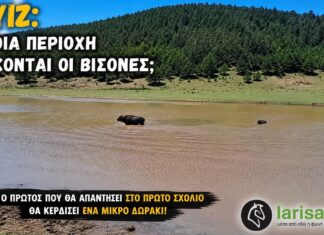 Αναγνωρίζεις την περιοχή; Βρες σε ποια περιοχή βρίσκονται οι βίσονες και κέρδισε δώρο!