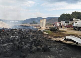 Φωτιά σε χωριό δίπλα στην Λάρισα κατέκαψε ποιμνιοστάσιο και τα ζώα – Άφησε πίσω στάχτη / ΦΩΤΟ