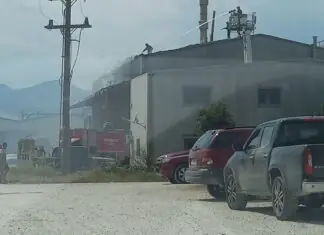 Φωτιά σε επιχείρηση ζωοτροφών στον Αμπελώνα (φωτο)