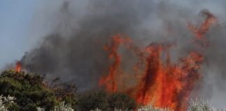 Φωτιά ξέσπασε έξω από τη Λάρισα: Επιχειρεί η πυορσβεστική