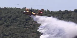 Μεγάλη φωτιά στην Ελασσόνα – Επιχειρούν και εναέρια μέσα – Άνεμοι 5 μποφορ