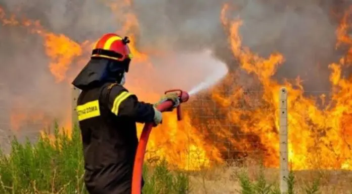 Συναγερμός για φωτιά έξω από την Αγιά – Αποφεύχθηκαν τα χειρότερα