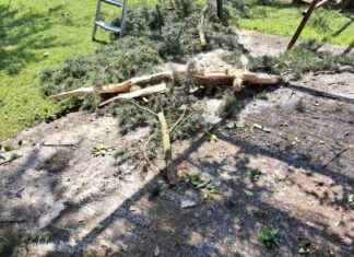 ΣΟΚ για οικογένεια σε χωριό της Λάρισας – Κεραυνός έπεσε στο σπίτι τους και έσκισε δέντρο – ΦΩΤΟ