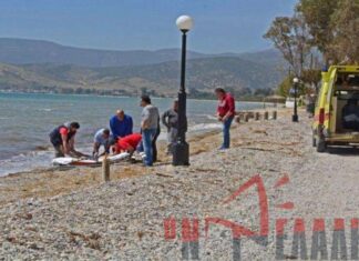 Τραγωδία στους Νέους Πόρους – Νεκρή στην παραλία 68χρονη γυναίκα