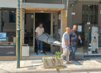 Πάνω από ένα χρόνο φαίνεται να ήταν νεκρή η 60χρονη που βρέθηκε σε υπόγειο της Λάρισας – Δείτε φωτογραφίες