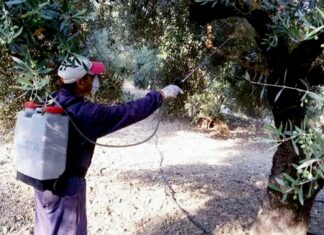Περιφέρεια Θεσσαλίας: Δολωματικός ψεκασμός σε ελαιοπερίβολα στους Δήμους Τεμπών, Αγιάς, Ελασσόνας και Τυρνάβου