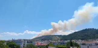 Λάρισα: Συναγερμός για μεγάλη φωτιά στα Φάρσαλα / ΦΩΤΟ-ΒΙΝΤΕΟ