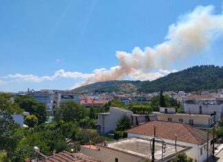 Λάρισα: Συναγερμός για μεγάλη φωτιά στα Φάρσαλα / ΦΩΤΟ-ΒΙΝΤΕΟ