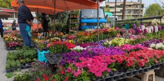 Πώς θα λειτουργήσουν οι λαϊκές αγορές της Λάρισας ενόψει αργίας Δεκαπενταύγουστου