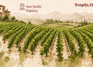 Πανδημοτική Γιορτή Κρασιού και Αμπελιού Ραψάνης 2026 – Διήμερο Πολιτισμού και Παράδοσης στους Πρόποδες του Ολύμπου