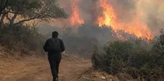 Αυτόν τον άνδρα ψάχνουν οι Αρχές για εμπρησμό σε δύο φωτιές της Θεσσαλίας – Τα χαρακτηριστικά του