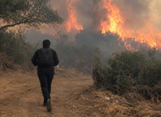 Αυτόν τον άνδρα ψάχνουν οι Αρχές για εμπρησμό σε δύο φωτιές της Θεσσαλίας – Τα χαρακτηριστικά του