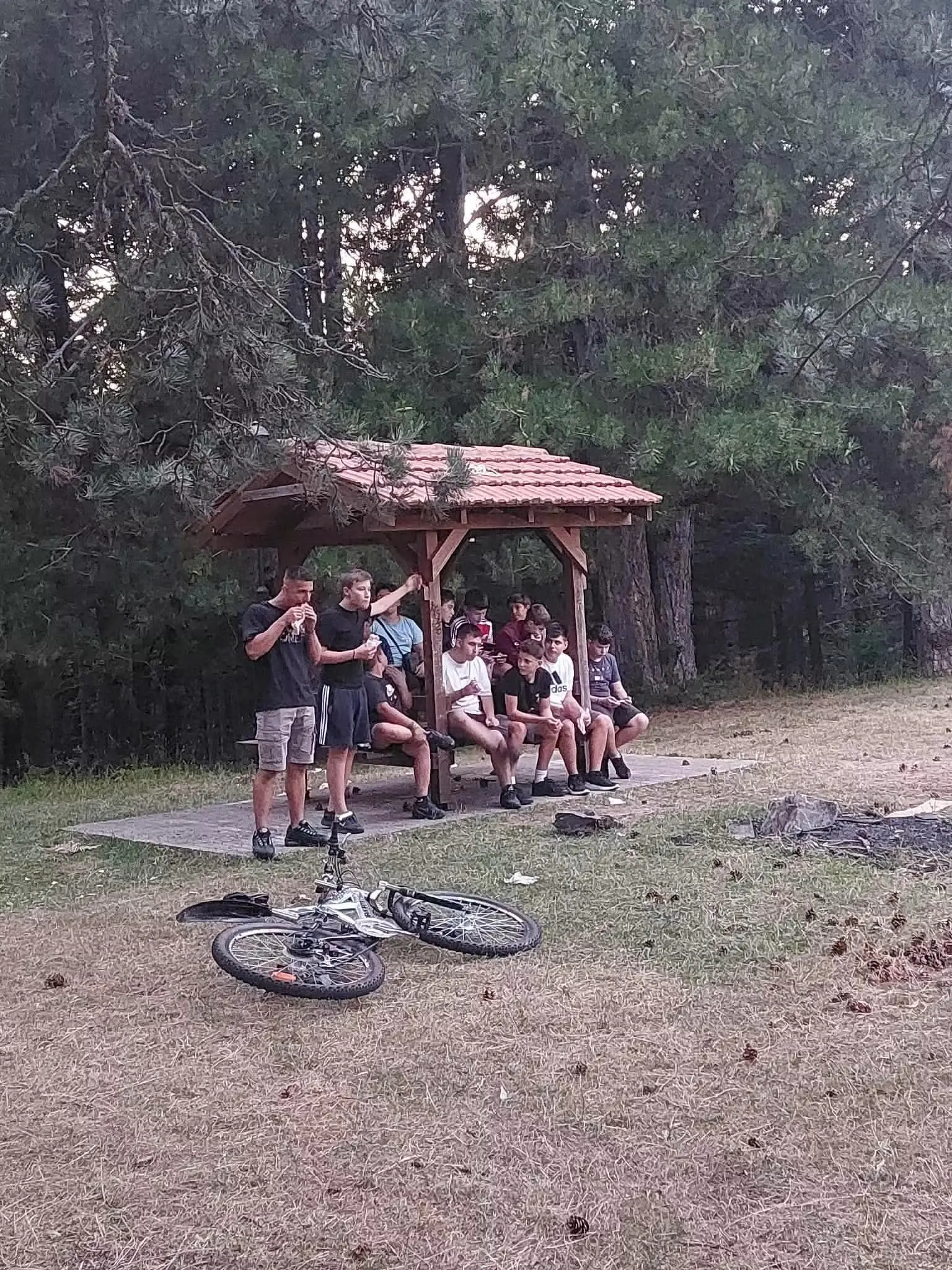 Καλλιπεύκη: Με μεγάλη επιτυχία η παράσταση Καραγκιόζη στην Πατωμένη – Πλήθος κόσμου και παιδικά χαμόγελα