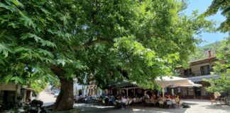 Όταν η Λάρισα «βράζει»: Επτά δροσερές μονοήμερες σε βουνό, δάσος και θάλασσα