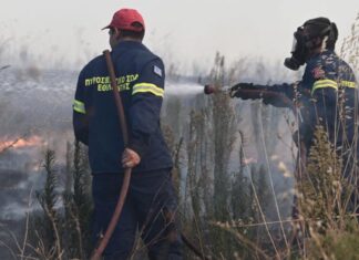 Λάρισα: Φωτιά στην Αγία Μαρίνα – Ισχυρή κινητοποίηση της Πυροσβεστικής με 10 οχήματα