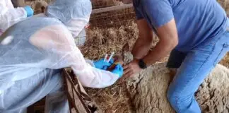 Χρήματα στους κτηνοτρόφους της Θεσσαλίας για την ευλογιά – Πόσα θα λάβουν