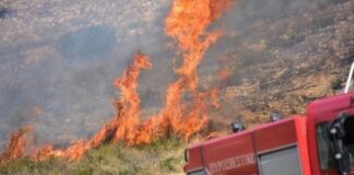 Φωτιά έξω από τη Λάρισα: Στο σημείο τρία πυροσβεστικά οχήματα