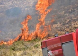 Συναγερμός για φωτιά κοντά στα διόδια Μακρυχωρίου: Την περιόρισε η πυροσβεστική!