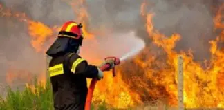 Μεγάλος κίνδυνος για πυρκαγιές σήμερα σε όλη Θεσσαλία – Συνεχίζεται ο καύσωνας – Τι αναφέρει η Πολιτική Προστασία