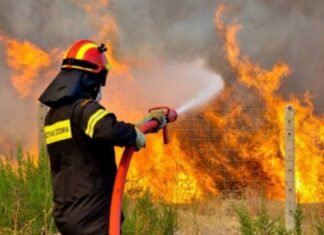 Μεγάλος κίνδυνος για πυρκαγιές σήμερα σε όλη Θεσσαλία – Συνεχίζεται ο καύσωνας – Τι αναφέρει η Πολιτική Προστασία