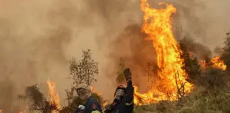 Βαριά “καμπάνα” για Φαρσαλινό που έκαψε ξερά χόρτα – Πόσα λεφτά πρόστιμο καλείται να πληρώσει