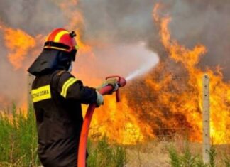 Μεγάλος κίνδυνος για πυρκαγιές σήμερα στην Π.Ε. Λάρισας – Συνεχίζεται ο καύσωνας με μέγιστη θερμοκρασία τους 39 βαθμούς