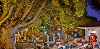 8+1 χωριά του νομού Λάρισας που μοιάζουν να έχει σταματήσει ο χρόνος