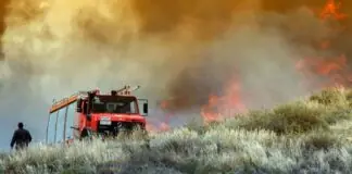 Φωτιά ξέσπασε το μεσημέρι σε αυτοκίνητο – Παράλληλα πυρκαγιά σε ξερά χόρτα