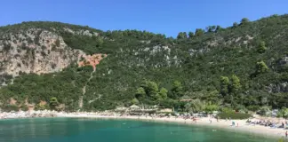 Σκόπελος: Κύκλωμα λαθρεμπορίας προστατευόμενων κοραλλιών αποκάλυψε η ΑΑΔΕ – Στις 800.000 ευρώ εκτιμάται η αξία του φορτίου
