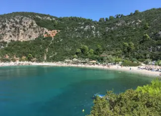 Σκόπελος: Κύκλωμα λαθρεμπορίας προστατευόμενων κοραλλιών αποκάλυψε η ΑΑΔΕ – Στις 800.000 ευρώ εκτιμάται η αξία του φορτίου