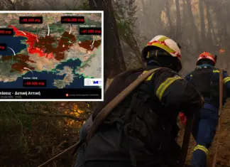 Ο χάρτης της καταστροφής στη Δυτική Αττική: Κάηκαν πάνω από 480.000 στρέμματα σε 9 χρόνια Από το 2018 μέχρι και το 2026, πυρκαγιές σε Κινέτα, Γεράνεια Όρη, Βίλια, Δερβενοχώρια, Πάρνηθα, Πόρτο Γερμενό έκαναν χιλιάδες στρέμματα στάχτη