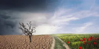 Η Θεσσαλία ψήνεται, πνίγεται και χάνει τη σοδειά της: Από τον Ιανό και τον Daniel στους παρατεταμένους καύσωνες