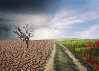 Η Θεσσαλία ψήνεται, πνίγεται και χάνει τη σοδειά της: Από τον Ιανό και τον Daniel στους παρατεταμένους καύσωνες