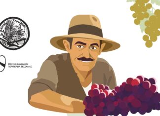 Δεύτερη Γιορτή Τρύγου στο Δαμάσι